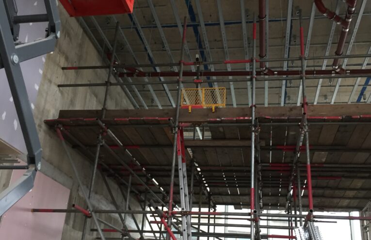 Photo 14-11-2016, 13 22 40